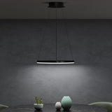 glasvilla Lampadario a Sospensione 16W, 50CM, Lampada da Soffitto a Sospensione 3000K/4000K/6000K con Cavo Regolabile per Camera da Letto e Soggiorno