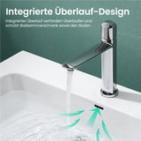 glasvilla Lavabo da Appoggio da Marmo Fuso Lavandino Bagno Sospeso con Due Fori per la Rubinetteria Colossum830