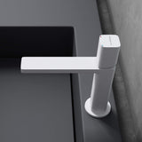 glasvilla Rubinetto Miscelatore per Lavabo Monocomando Rubinetto Bagno per Bidet Lavandino WAO-7901