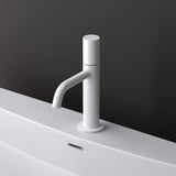 glasvilla Rubinetto Miscelatore per Lavabo Monocomando Rubinetto Bagno per Bidet e Lavandino WAO-7701 