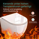 Glasvilla Design Inodoro Suspendido Negro Sin Borde Aachen179 – WC con Asiento Soft-Close