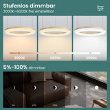 glasvilla Lampadario Sospensione, Lampada 3000-6000K con Filo 170 CM, Altezza Regolabile, Lampada da Soffitto a Sospensione per Camera da Letto, Cucina e Soggiorno, Luvina03