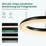 glasvilla Lampadario Sospensione, Lampada 3000-6000K con Filo 170 CM, Altezza Regolabile, Lampada da Soffitto a Sospensione per Camera da Letto, Cucina e Soggiorno, Luvina03