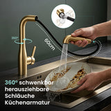 glasvilla Robinet de Cuisine avec Douchette Extractible, Mitigeur Évier Pivotant à 360°, Robinetterie en Acier Inoxydable Turnix-04